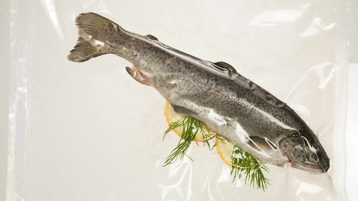 Ein ganzer roher Fisch in einem vakuumversiegelten Plastikbeutel mit Zitronenscheiben und frischem Dill darunter, bereit zum Sous-vide-Garen.
