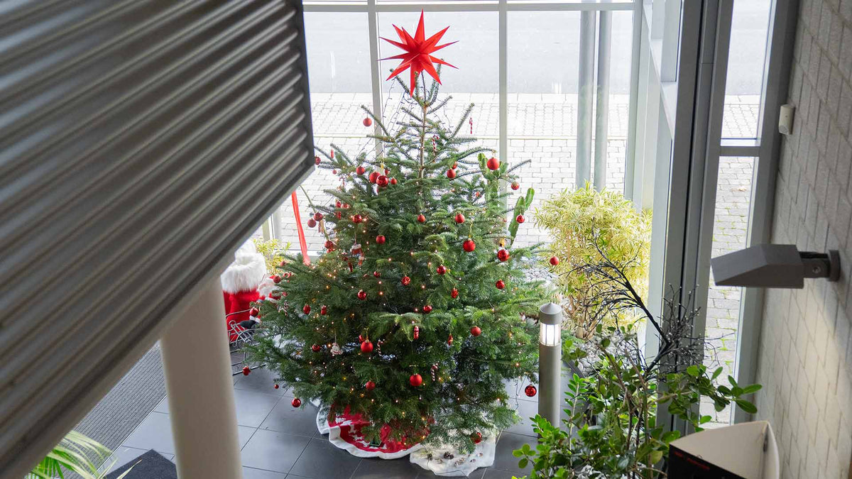 Ein geschmückter Weihnachtsbaum mit roten Ornamenten und einem großen roten Stern an der Spitze steht in einem hellen, modernen Innenraum in der Nähe großer Fenster und einiger grüner Pflanzen.
