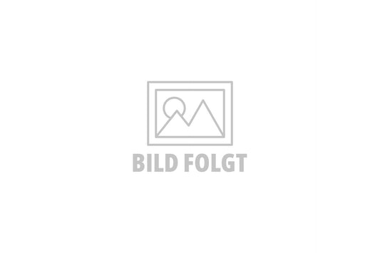 Ein Platzhalterbild mit einer einfachen umrissenen Landschaft in einem Rahmen und dem deutschen Text „BILD FOLGT.